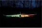 Preview: 2650 ARCUS II PNP von Robbe mit LED-Beleuchtung